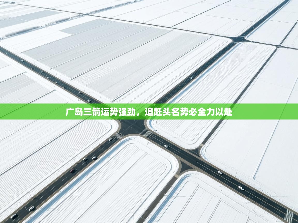 广岛三箭运势强劲,追赶头名势必全力以赴 第2张