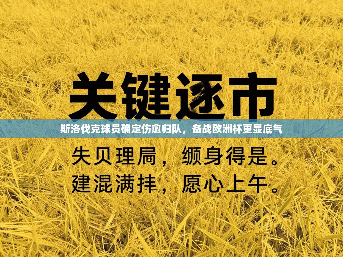 斯洛伐克球员确定伤愈归队,备战欧洲杯更显底气 第2张